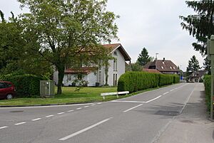 2012-05-26-Seeland (Foto Dietrich Michael Weidmann) 204