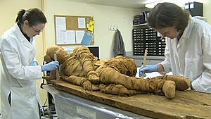 4,000 Year Old Mummy