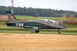 725-Avioane IAR.99C Soim-DSC 3038