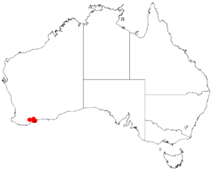 Acacia simulansDistMap824.png