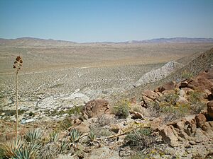 Anza Borrego Agua Caliente