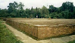 Bhismaknagar ruins