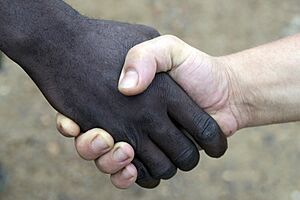 Black and white handshake MOD 45148076