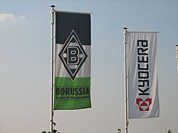 Borussia and Kyocera flags