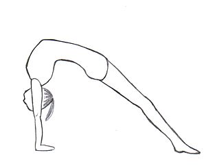 Bridge position