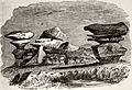 Brimham Rocks by Walbran 1856 (a)