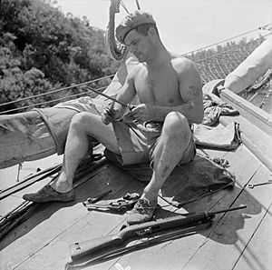 British Special Forces in the Aegean, 1944 E29095