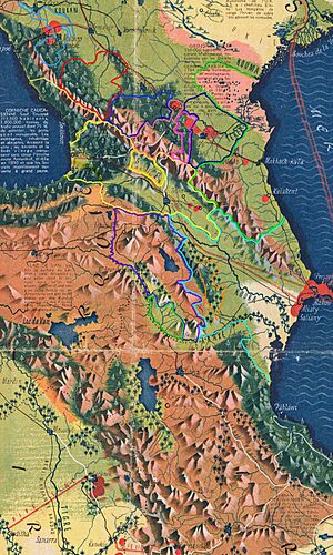 CAUCASIA~Vegetation Land Cover with ethnic borders~2