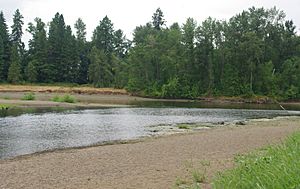 Calapooia River at the Willamette River