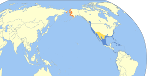 Calidris mauri map.svg