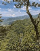 Cascadas vistas desde el mirador de naolinco.png
