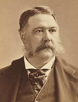 Chester A. Arthur by Abraham Bogardus (cropped) (2).jpg