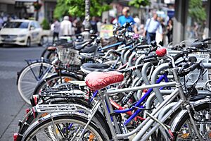 Cluster of bikes in Würzburg