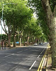 Cottingham Road - geograph.org.uk - 1472037