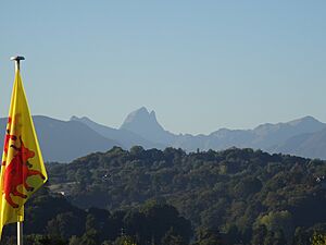 Drapeau Béarn et Pyrénées