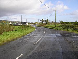 Drumnakilly Road - geograph.org.uk - 1015157.jpg