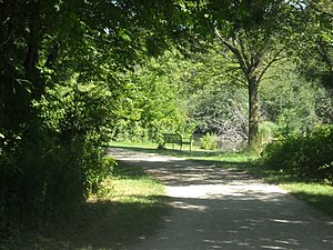 EramosaTrailBench