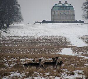 Eremitageslottet and deers in Jægersborg Dyrehave