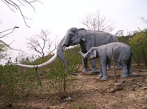 ExtinctElephant-SiwalikHills