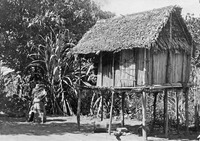 Fenerive, ö. Madagaskar. Risbod och hönshus hos betsinuisaraka. Fenerive - SMVK - 001653