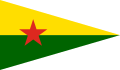 Flag of Hêzên Parastina Gel