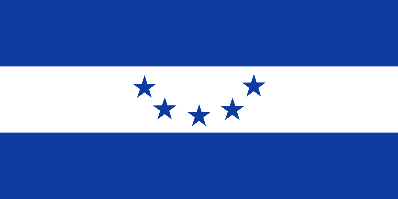Flag of Honduras (1866-1898 Alternative)