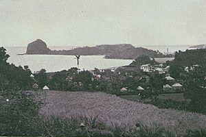 Fort Duvernette and Young's Island from Calliaqua, St. Vincent 1890s
