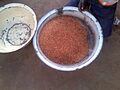 Guinea corn grains
