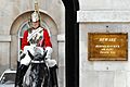 Horse Guards Parade (7810417690)