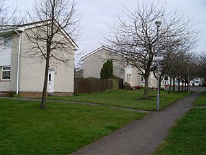 Houses off Western Road - geograph.org.uk - 1230062