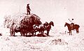 Hyneshayframing1920