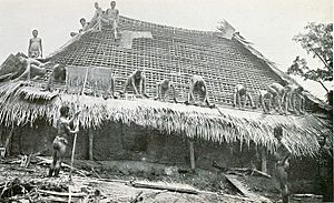 Igbo palm thatch