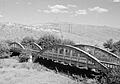 Indian Timothy Bridge