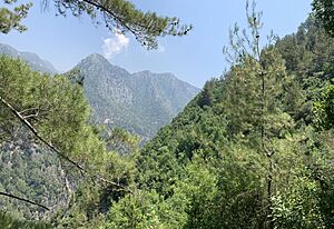 Jabal Moussa Biosphere Reserve 03
