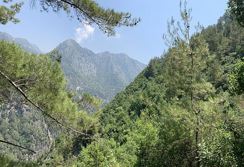 Jabal Moussa Biosphere Reserve 03