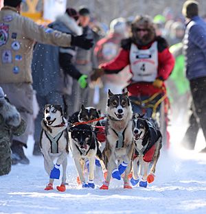 John Beargrease Dogsled Marathon - Two Harbors Minnesota (32555593672)