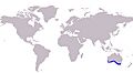 KG whiting World Distribution Map