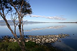 Lake Wairarapa.JPG