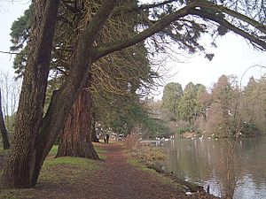 A photograph showing the autumnal trees and the path following the lake, surrounded by the green spaces of the Park