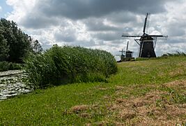 Leidschendam, De Drie Molens RM25724 tm6 IMG 0382 2019-07-01 11.20