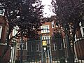 Louise Apartments