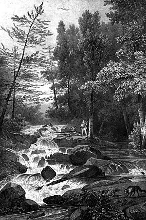 Lower Falls, Montgomery Place, by Milbert