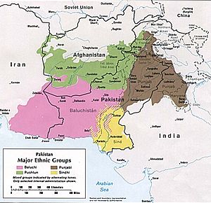 Major ethnic groups of Pakistan in 1980