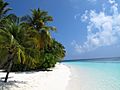 Maldives-beach