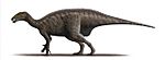 Mantellisaurus atherfieldensis Steveoc