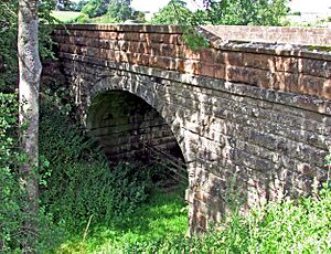 Musgrave railway station bridge 09.08.2016R