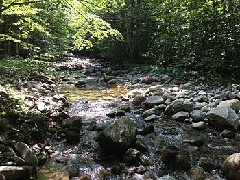 North Branch Gale River August 2018.jpg