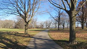 Oak Leaf Trail in Sheridan Park.jpg