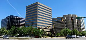 Office buildings in Pentagon City