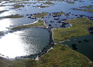 Pantanal, south-central South America 5170